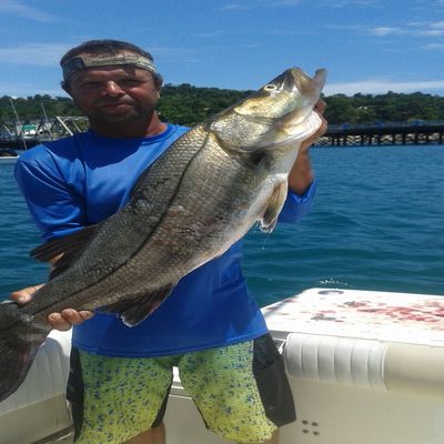 Quepos Inshore Fishing Costa Rica - Best Inshore Captains