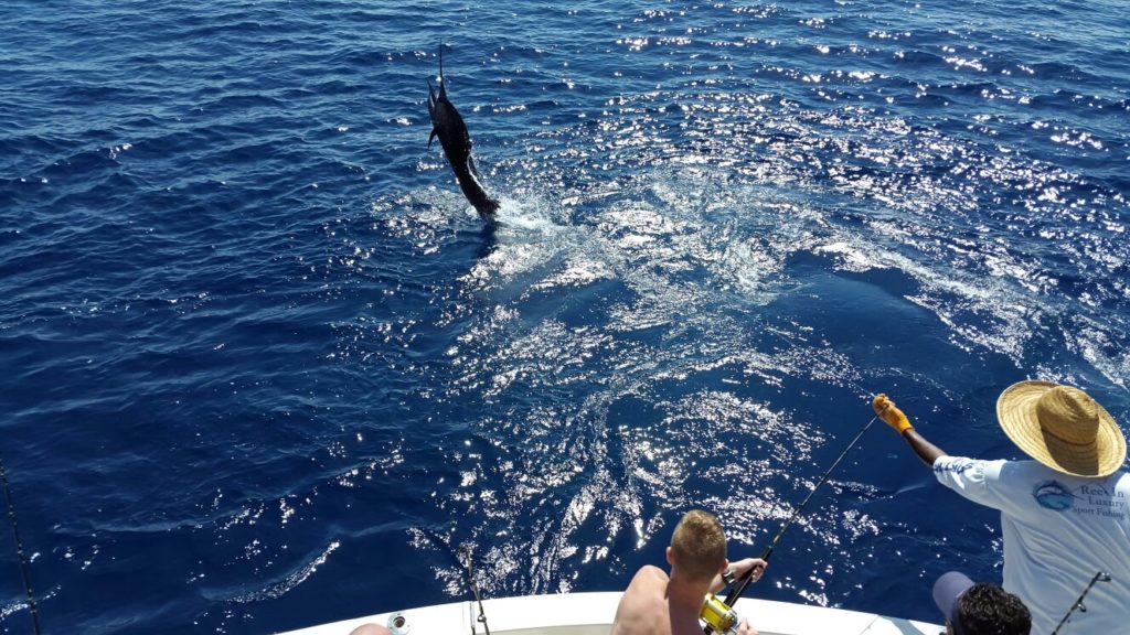 quepos fishing quepos fishing