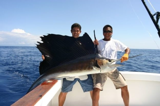 sailfish fishing quepos costa rica