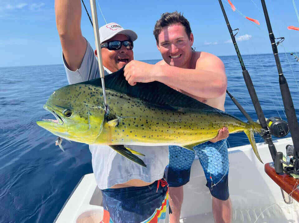 Mahi Mahi Sportfish offshore fishing charters quepos costa rica full day and 3/4 day deep sea fishing
