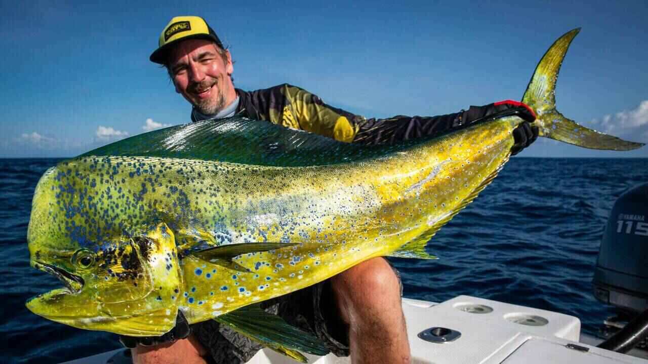 offshore fishing charters quepos costa rica full day and 3/4 day deep sea fishing offshore fishing charters quepos costa rica full day and 3/4 day deep sea fishing