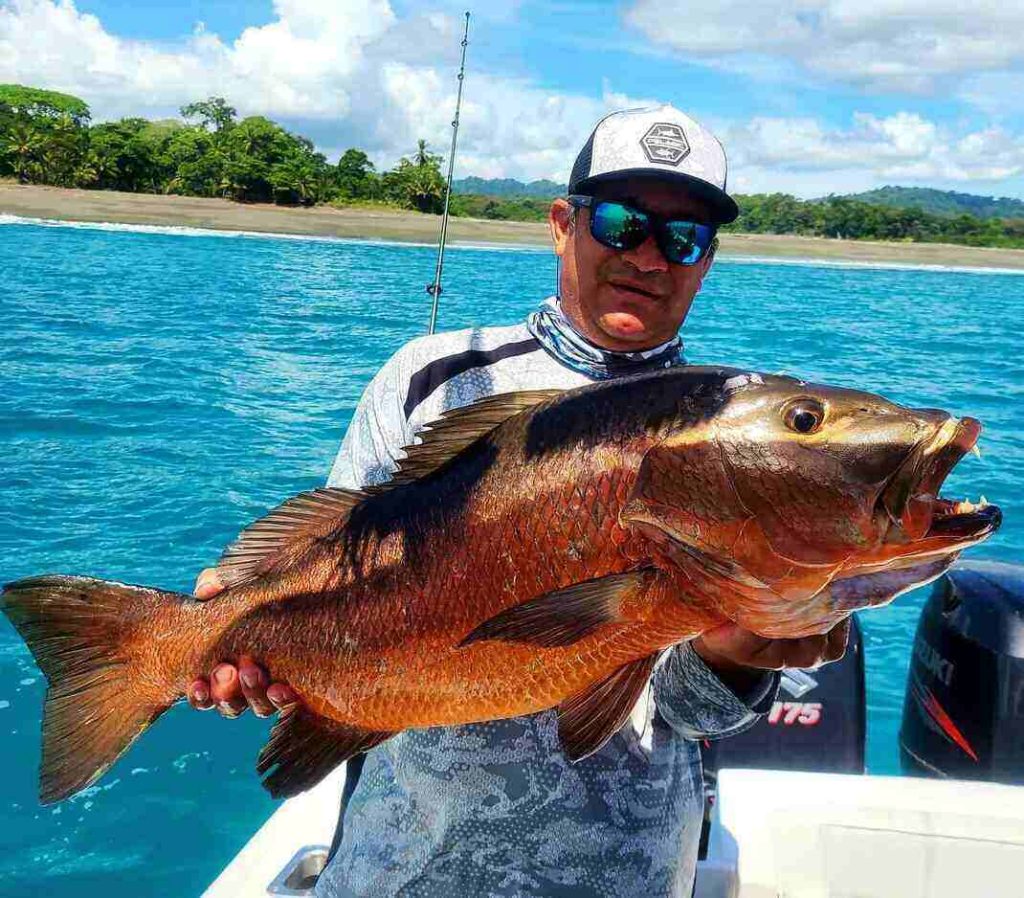 inshore fishing charters quepos costa rica marina pez vela full day and half day inshore fishing charters quepos costa rica marina pez vela full day and half day